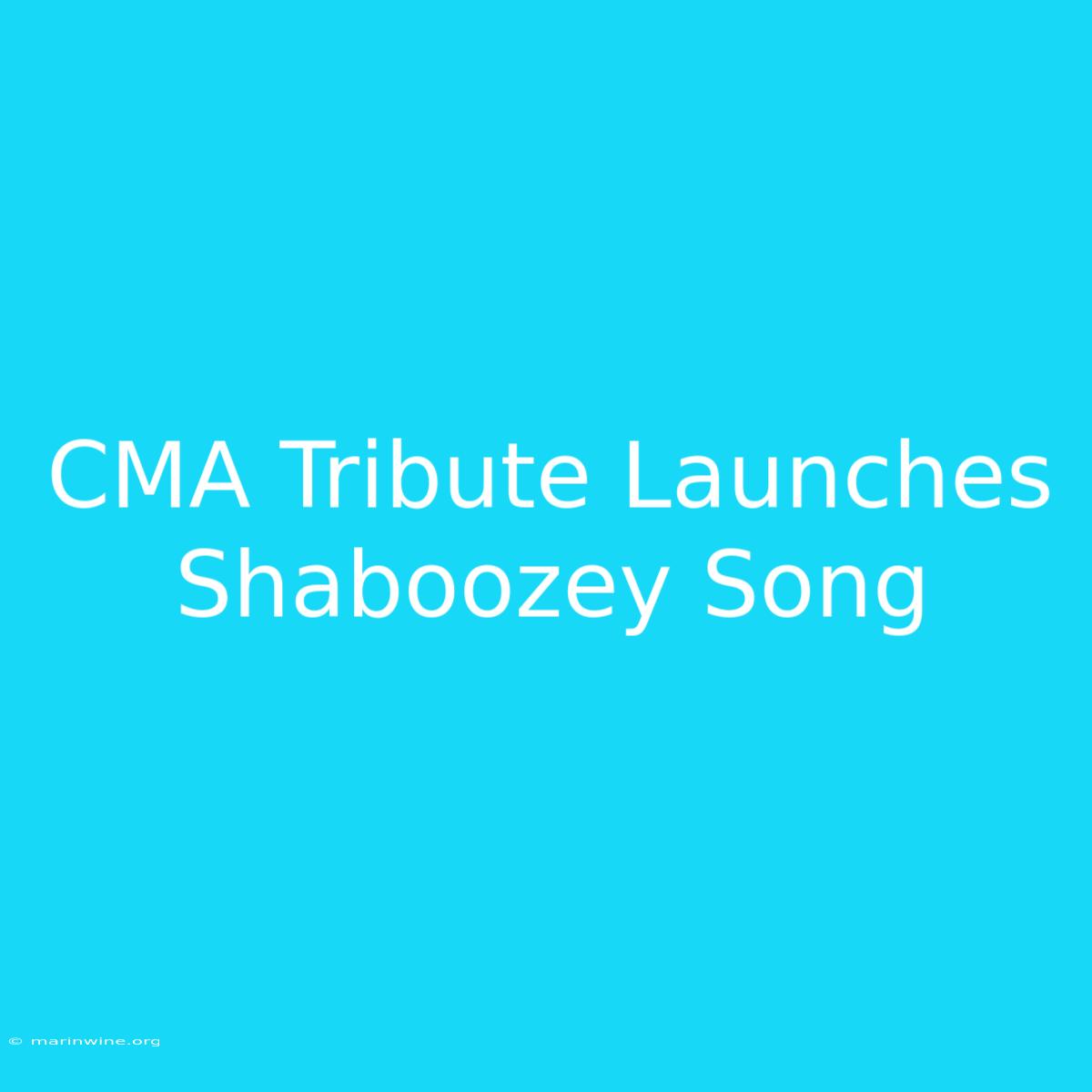 CMA Tribute Launches Shaboozey Song