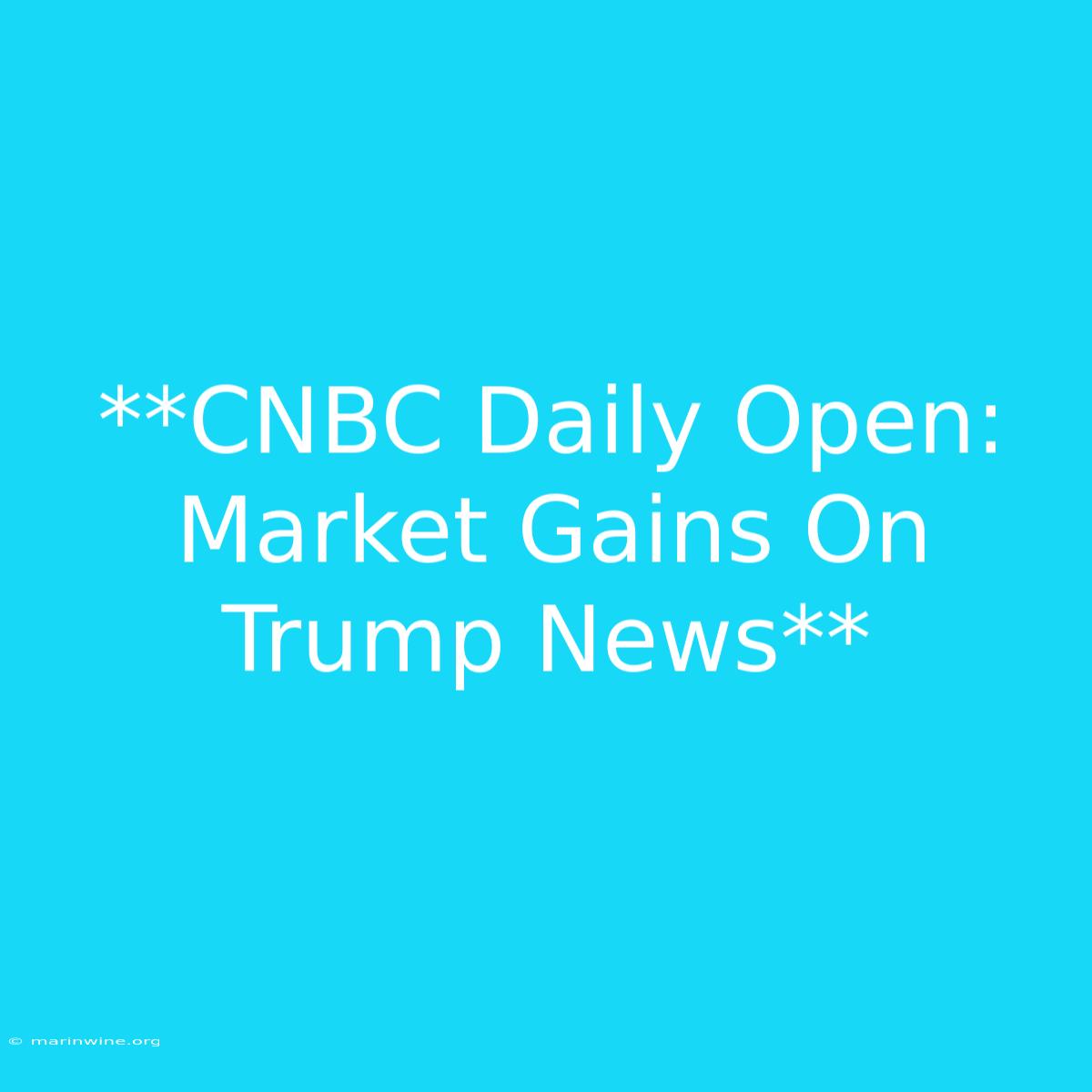 **CNBC Daily Open: Market Gains On Trump News** 