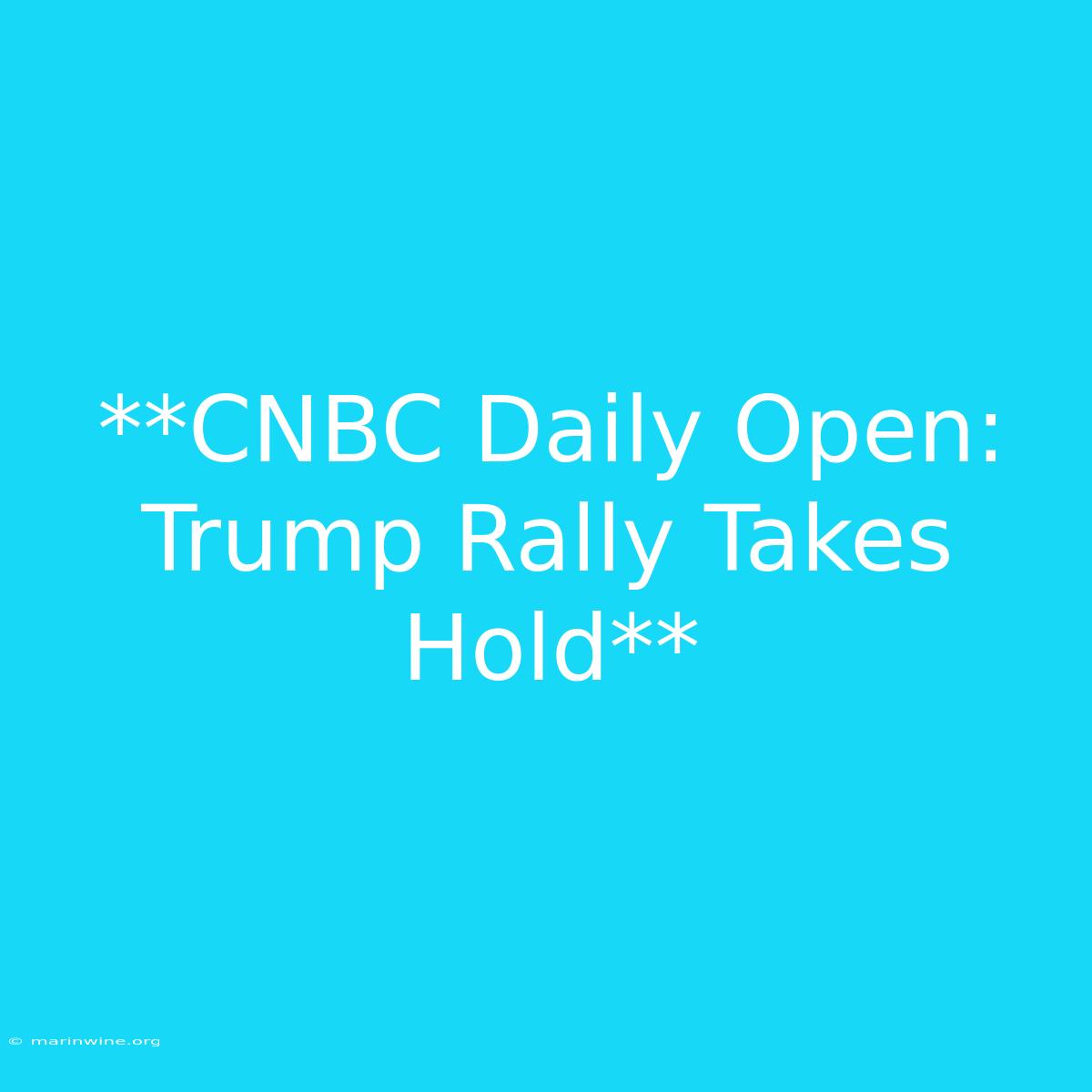 **CNBC Daily Open: Trump Rally Takes Hold**