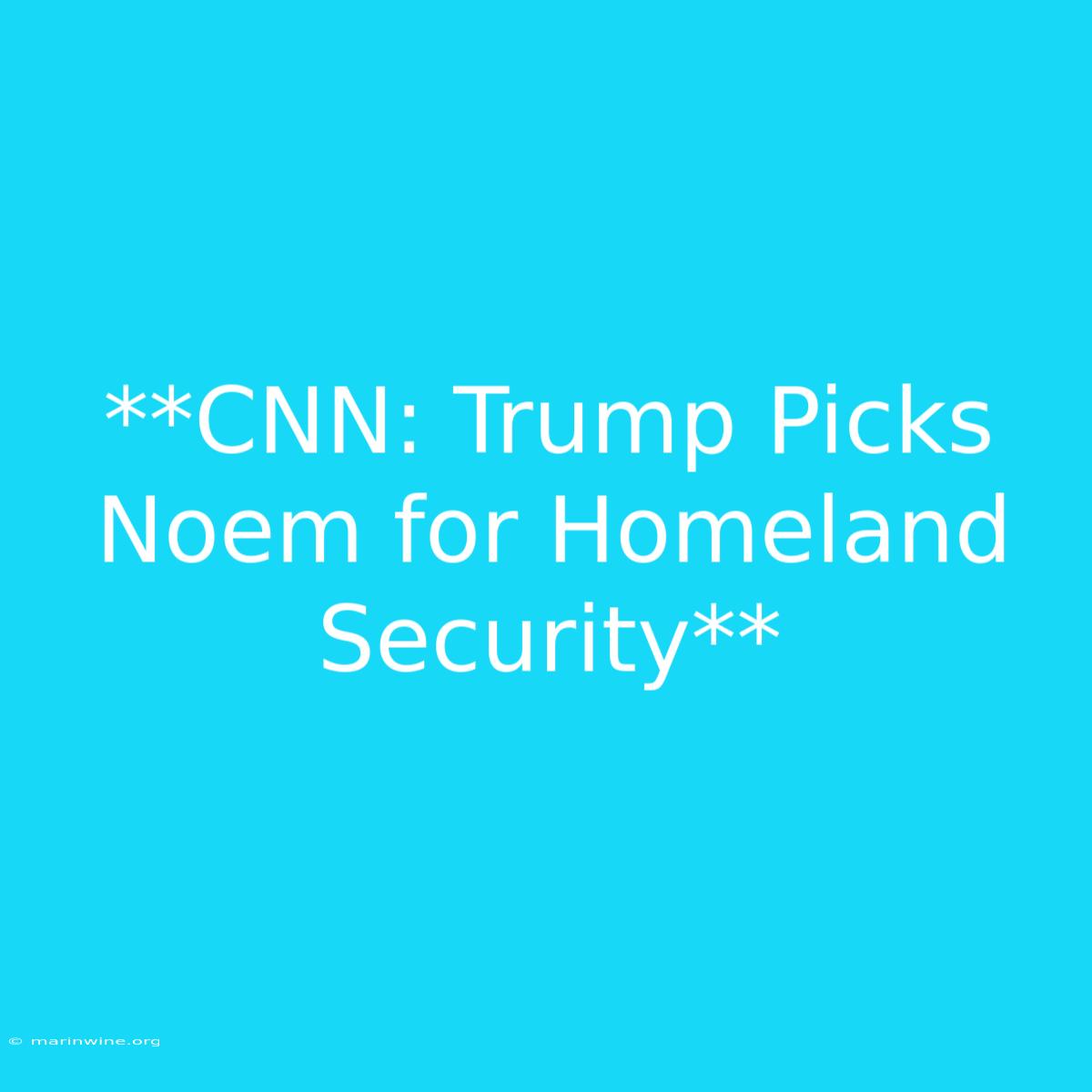 **CNN: Trump Picks Noem For Homeland Security** 