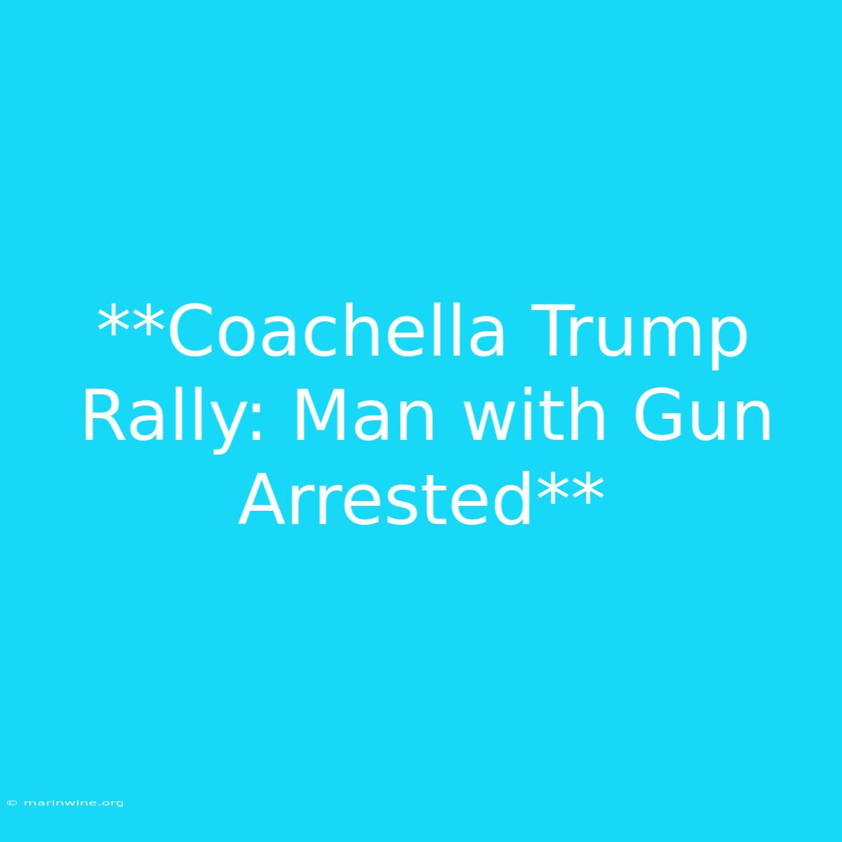 **Coachella Trump Rally: Man With Gun Arrested** 