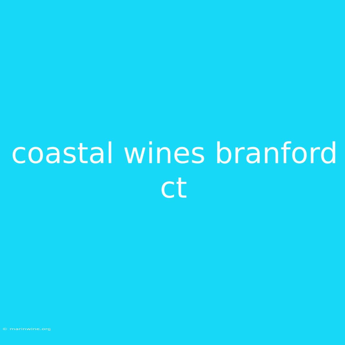 Coastal Wines Branford Ct