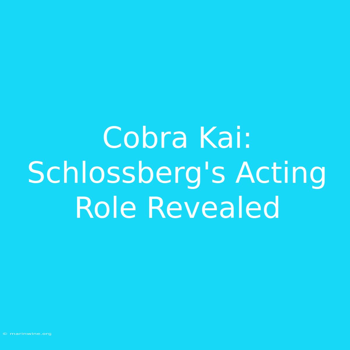 Cobra Kai: Schlossberg's Acting Role Revealed