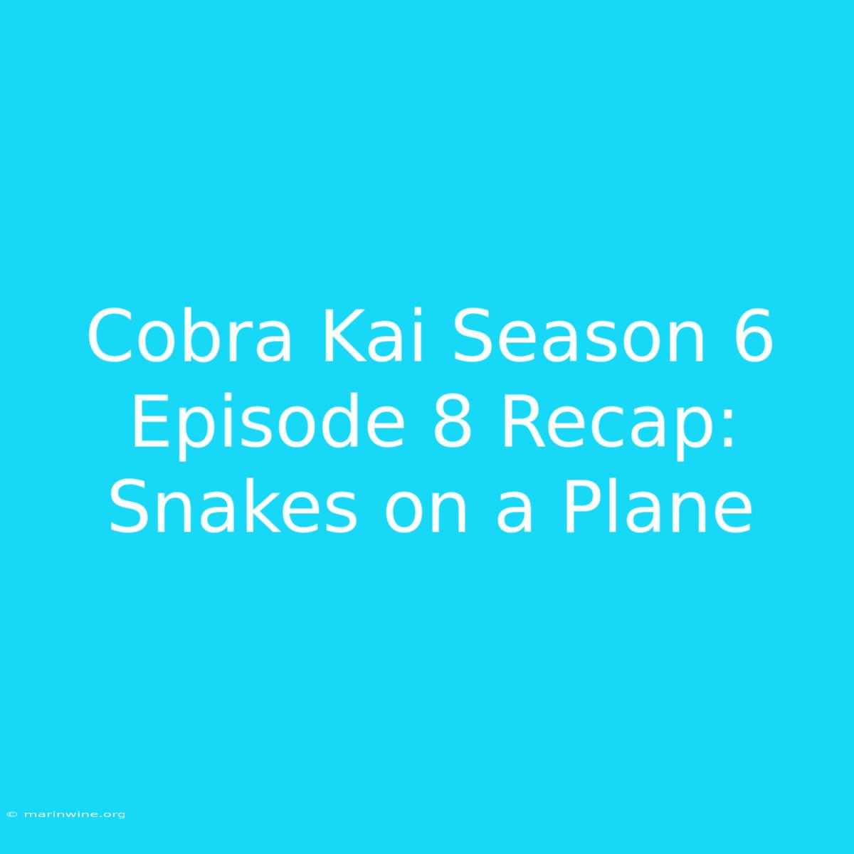 Cobra Kai Season 6 Episode 8 Recap: Snakes On A Plane