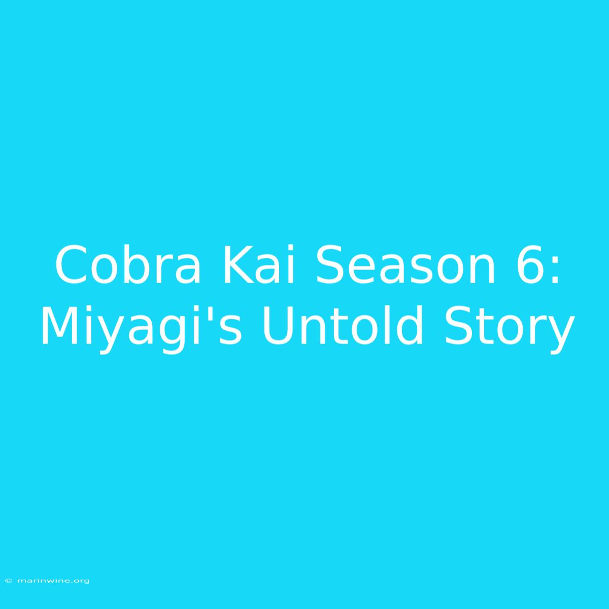 Cobra Kai Season 6: Miyagi's Untold Story