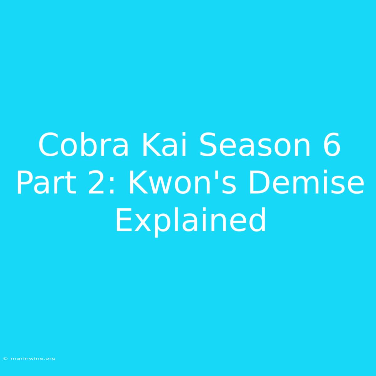 Cobra Kai Season 6 Part 2: Kwon's Demise Explained