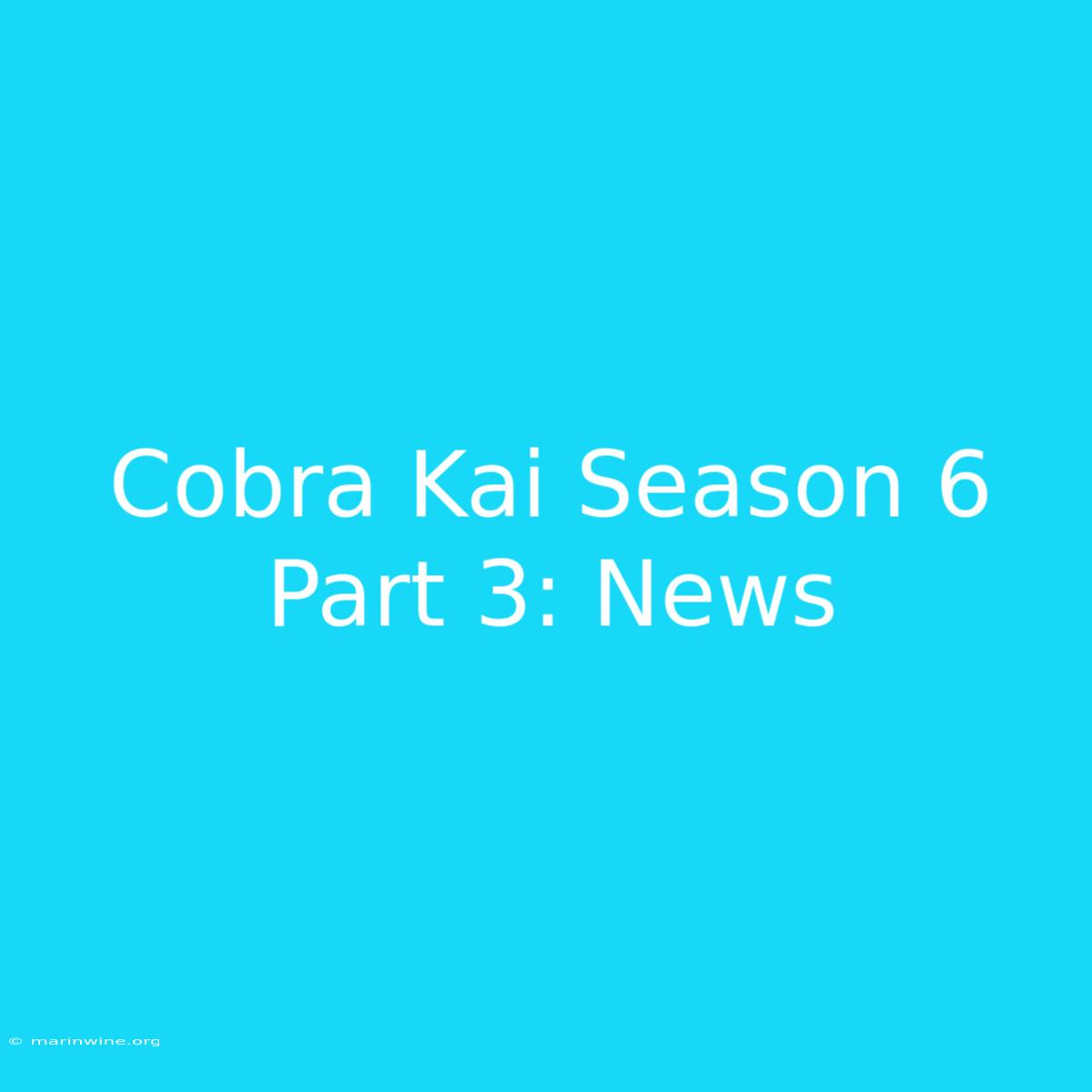 Cobra Kai Season 6 Part 3: News