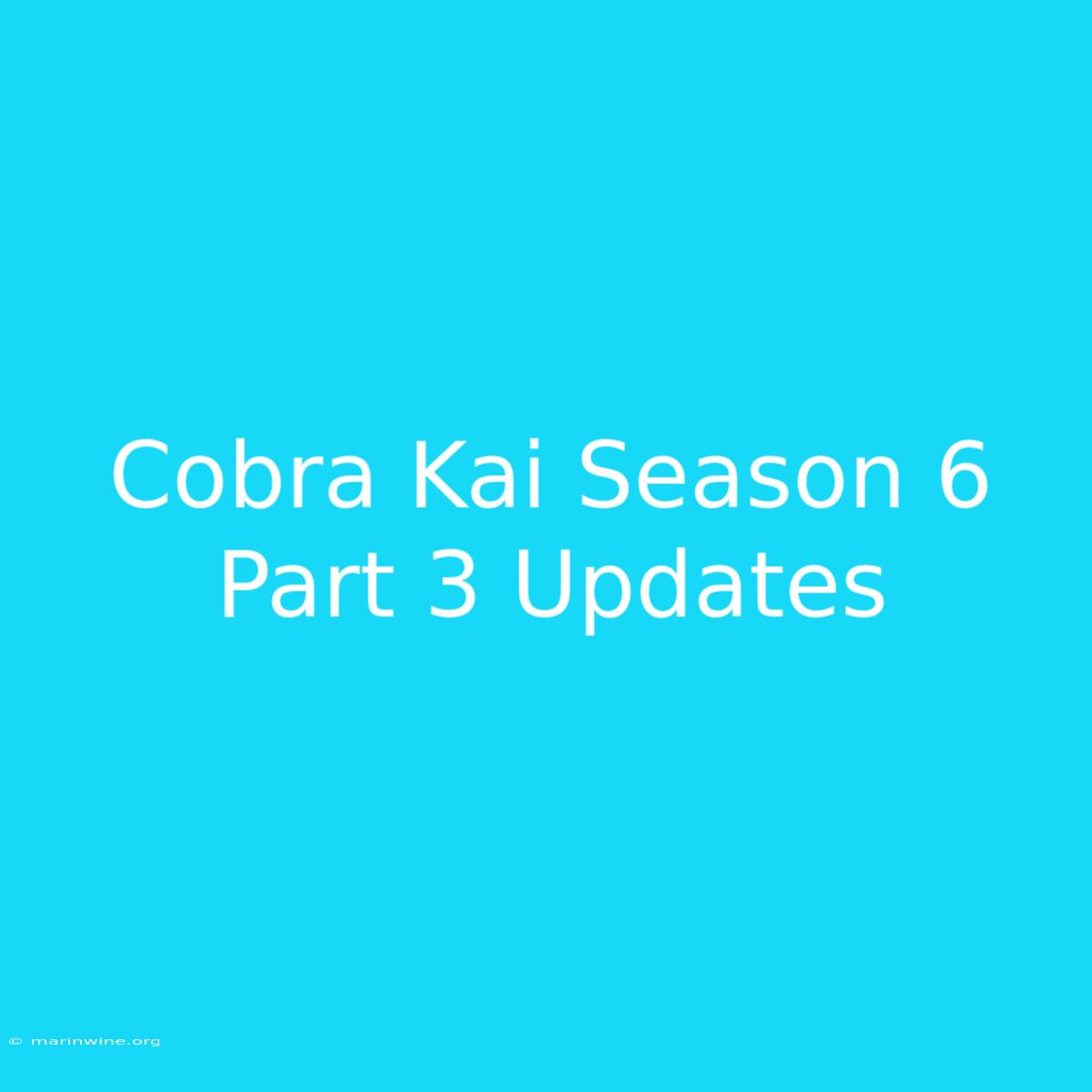 Cobra Kai Season 6 Part 3 Updates