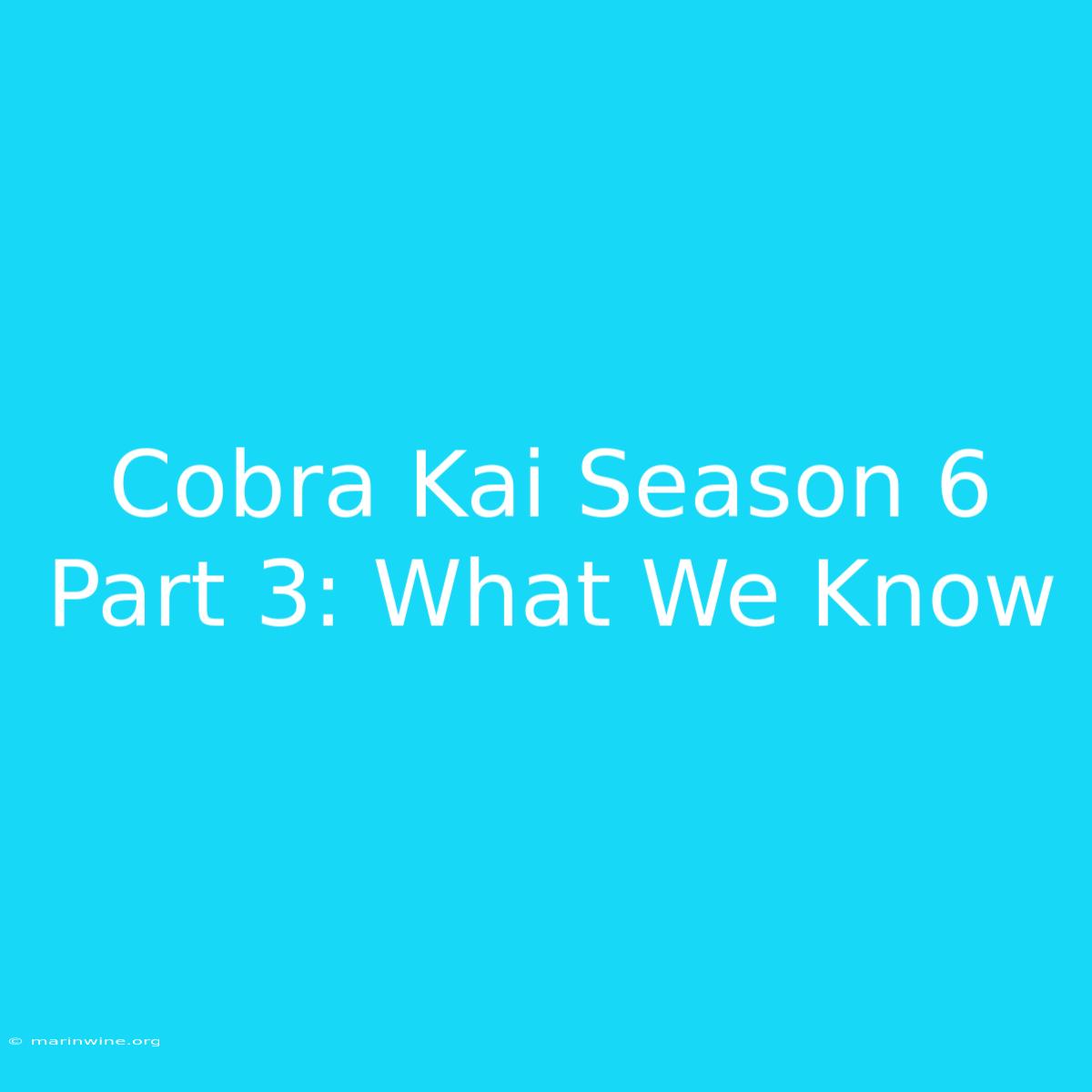 Cobra Kai Season 6 Part 3: What We Know