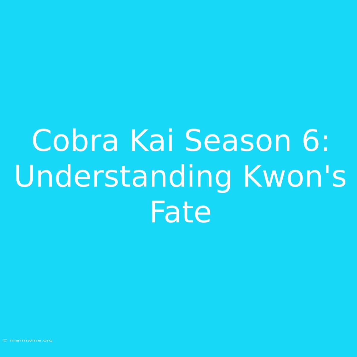 Cobra Kai Season 6: Understanding Kwon's Fate