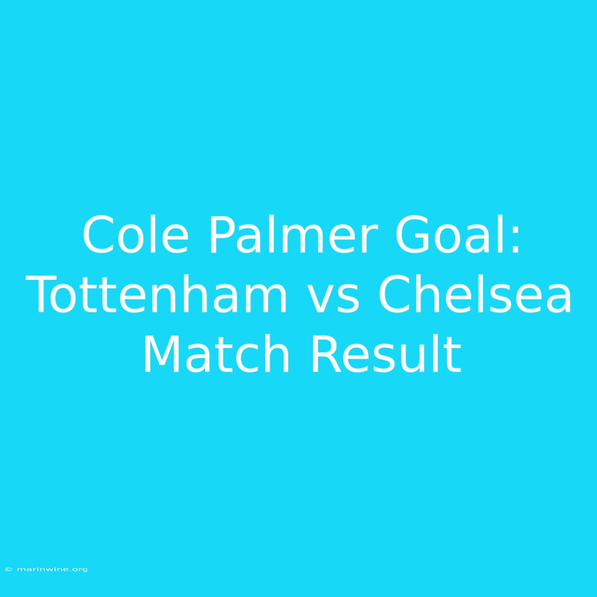 Cole Palmer Goal: Tottenham Vs Chelsea Match Result