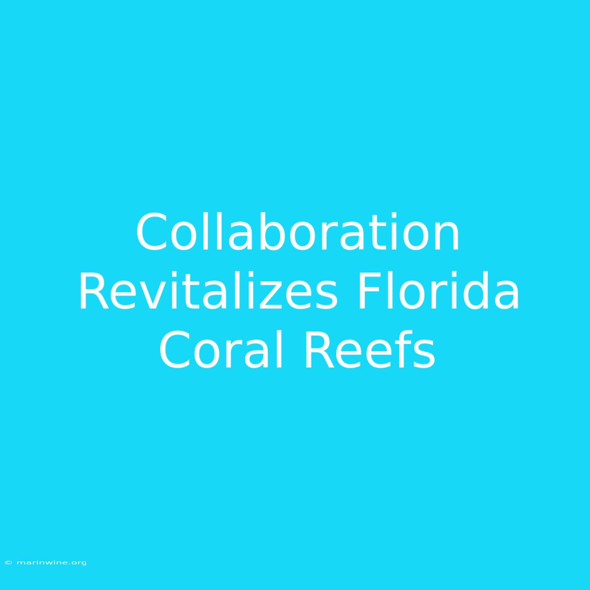 Collaboration Revitalizes Florida Coral Reefs