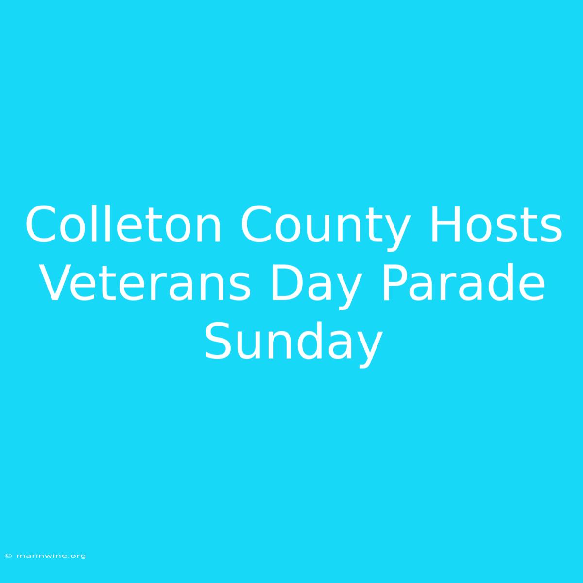 Colleton County Hosts Veterans Day Parade Sunday 