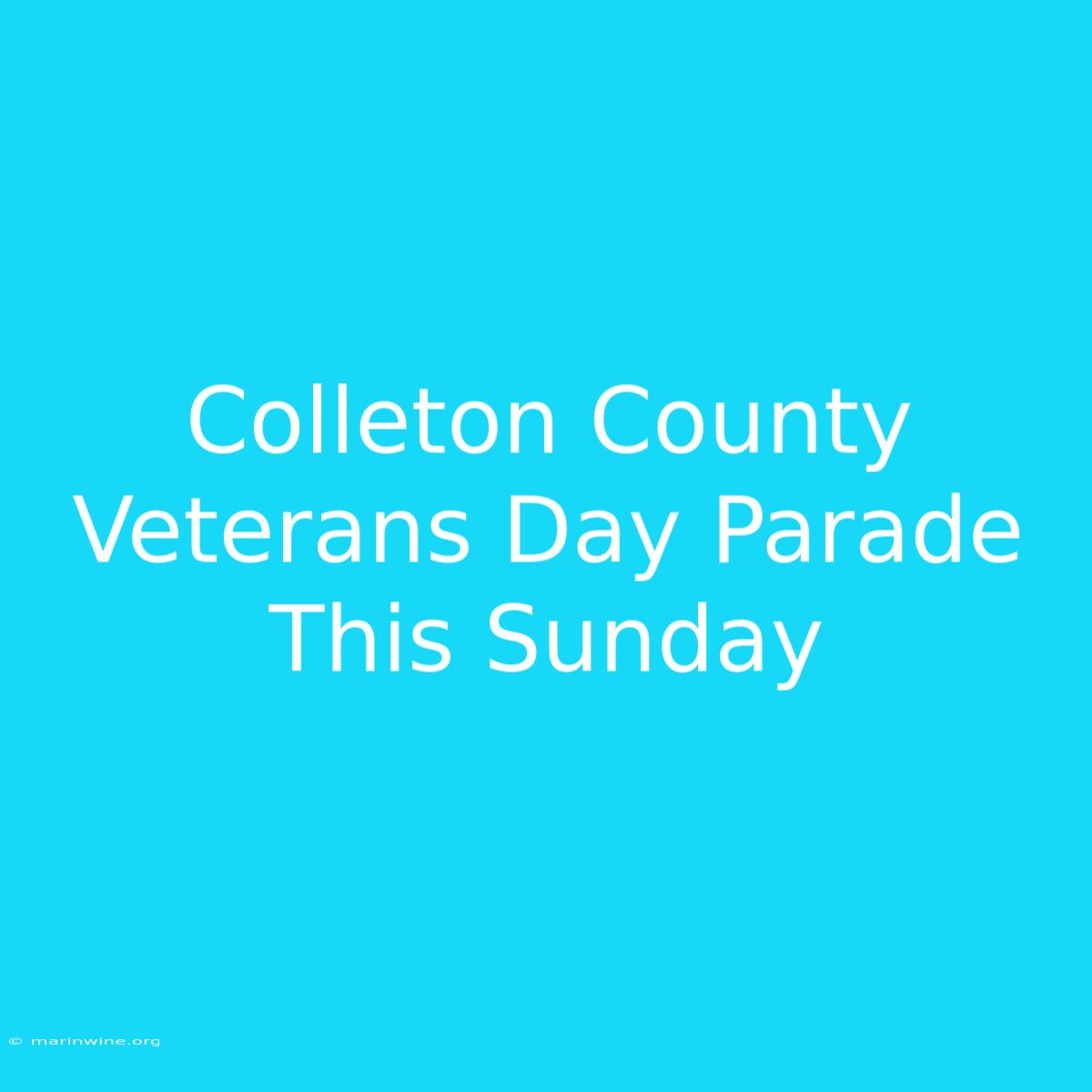 Colleton County Veterans Day Parade This Sunday