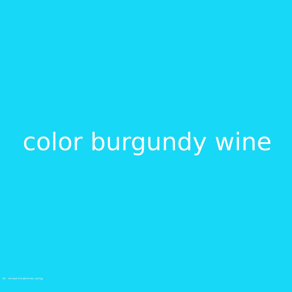 Color Burgundy Wine