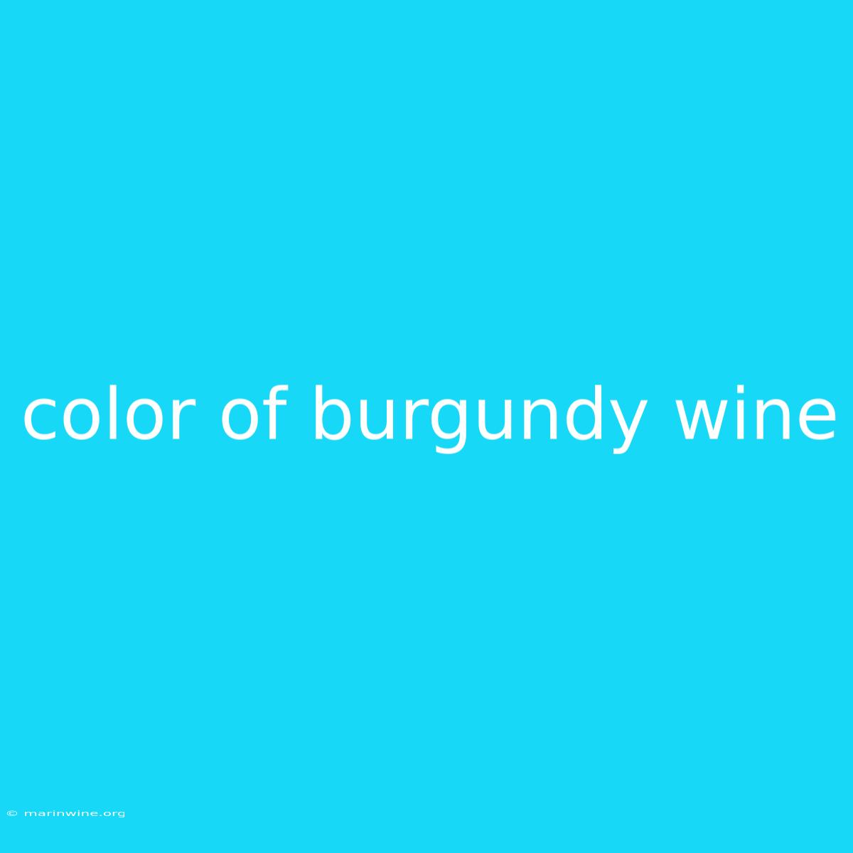 Color Of Burgundy Wine