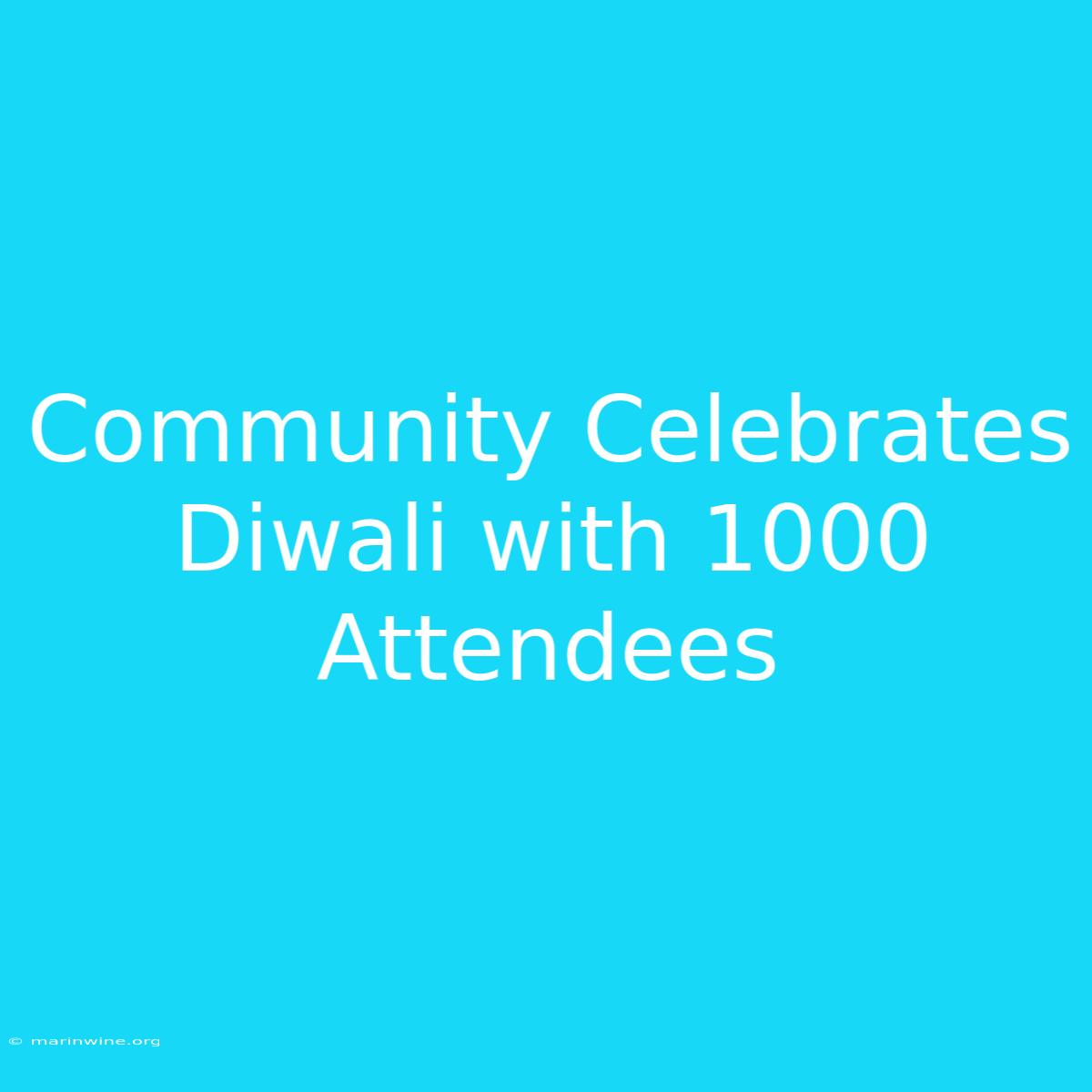 Community Celebrates Diwali With 1000 Attendees 