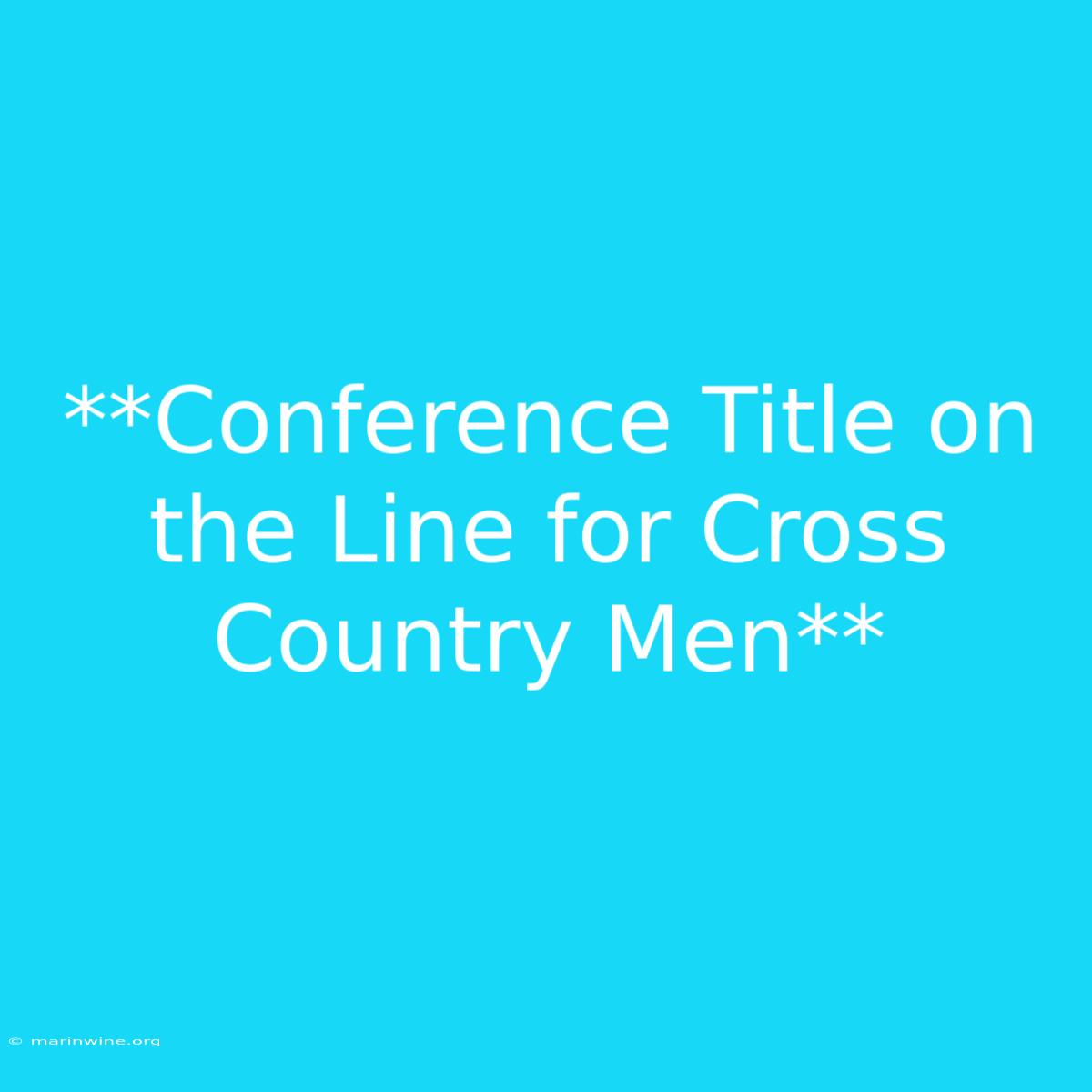 **Conference Title On The Line For Cross Country Men** 