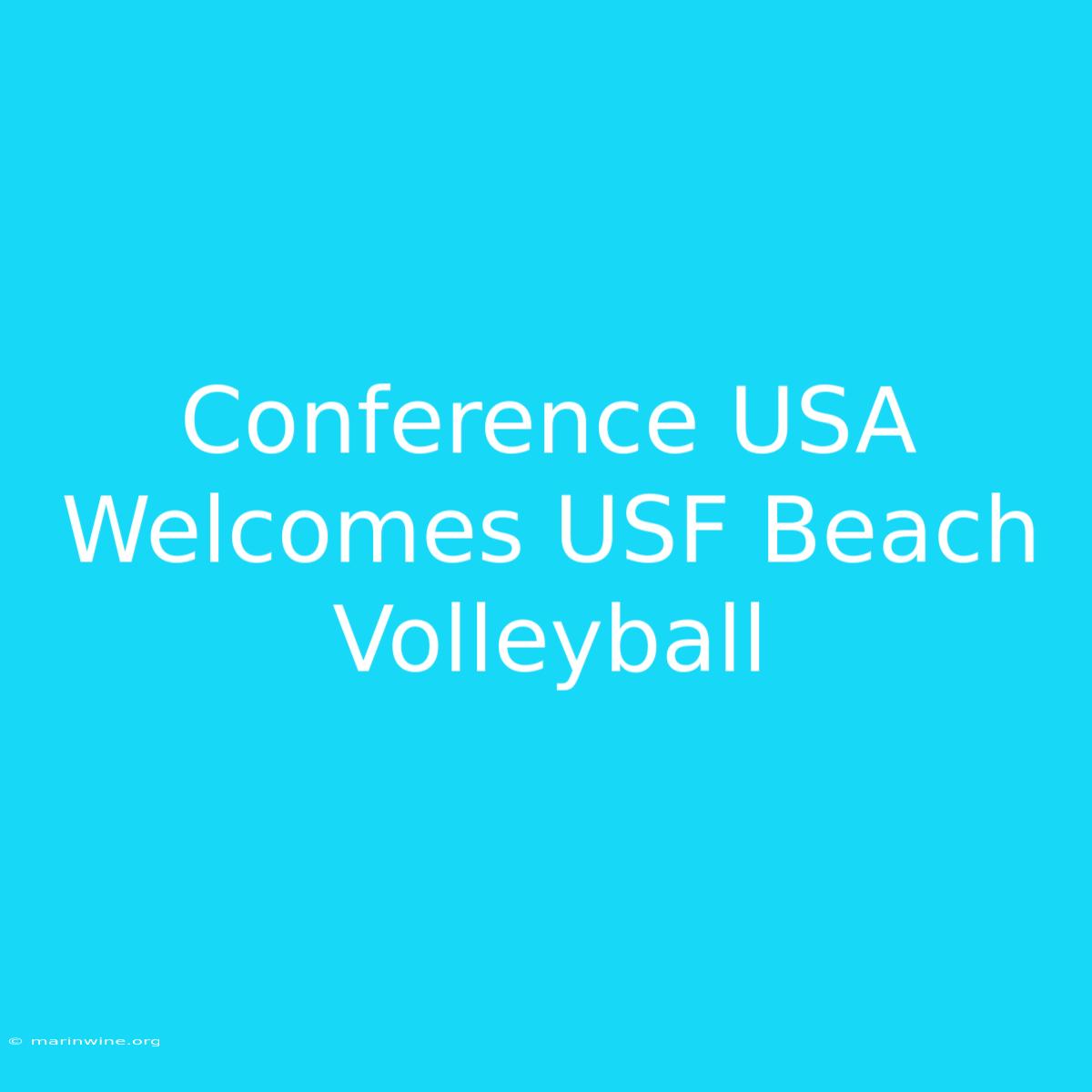 Conference USA Welcomes USF Beach Volleyball 