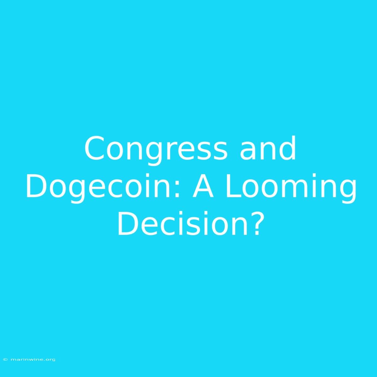 Congress And Dogecoin: A Looming Decision?