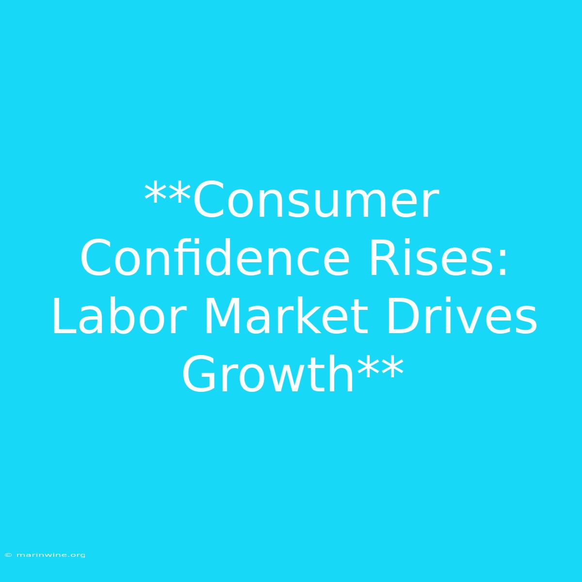 **Consumer Confidence Rises: Labor Market Drives Growth** 