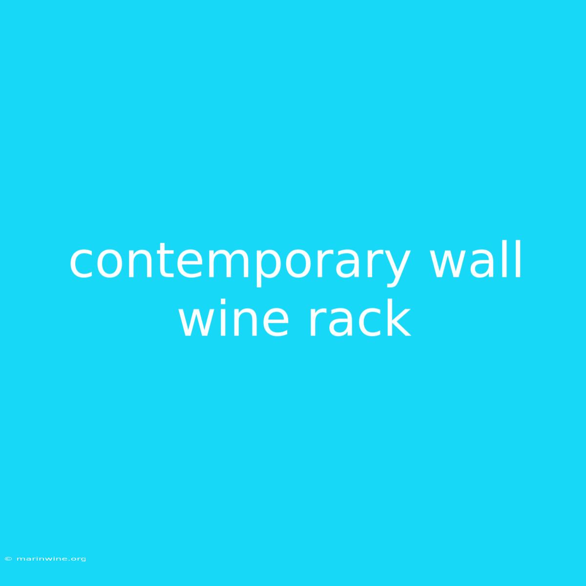 Contemporary Wall Wine Rack