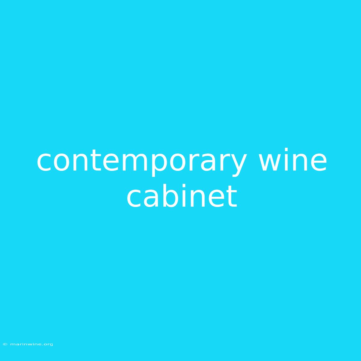 Contemporary Wine Cabinet