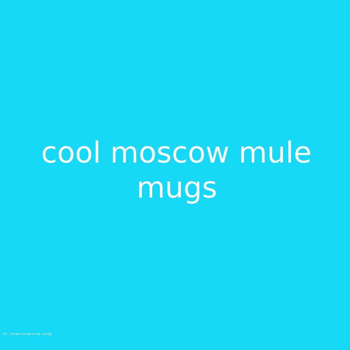 Cool Moscow Mule Mugs