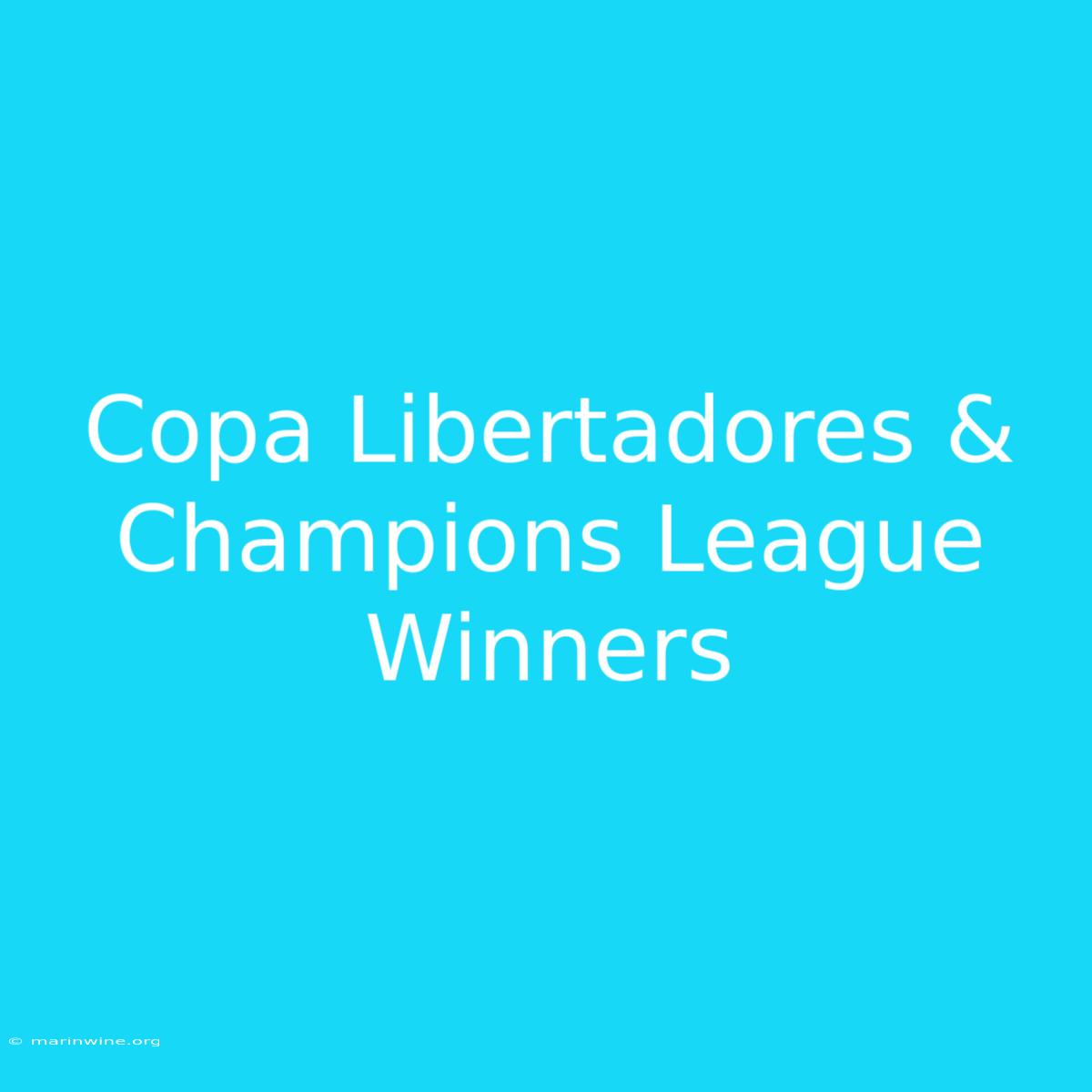 Copa Libertadores & Champions League Winners