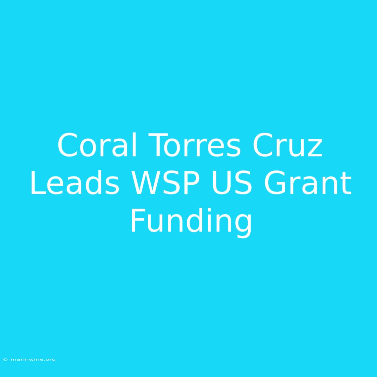 Coral Torres Cruz Leads WSP US Grant Funding