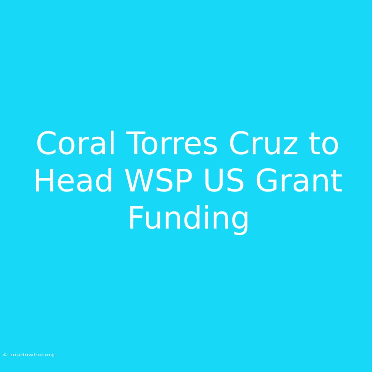 Coral Torres Cruz To Head WSP US Grant Funding