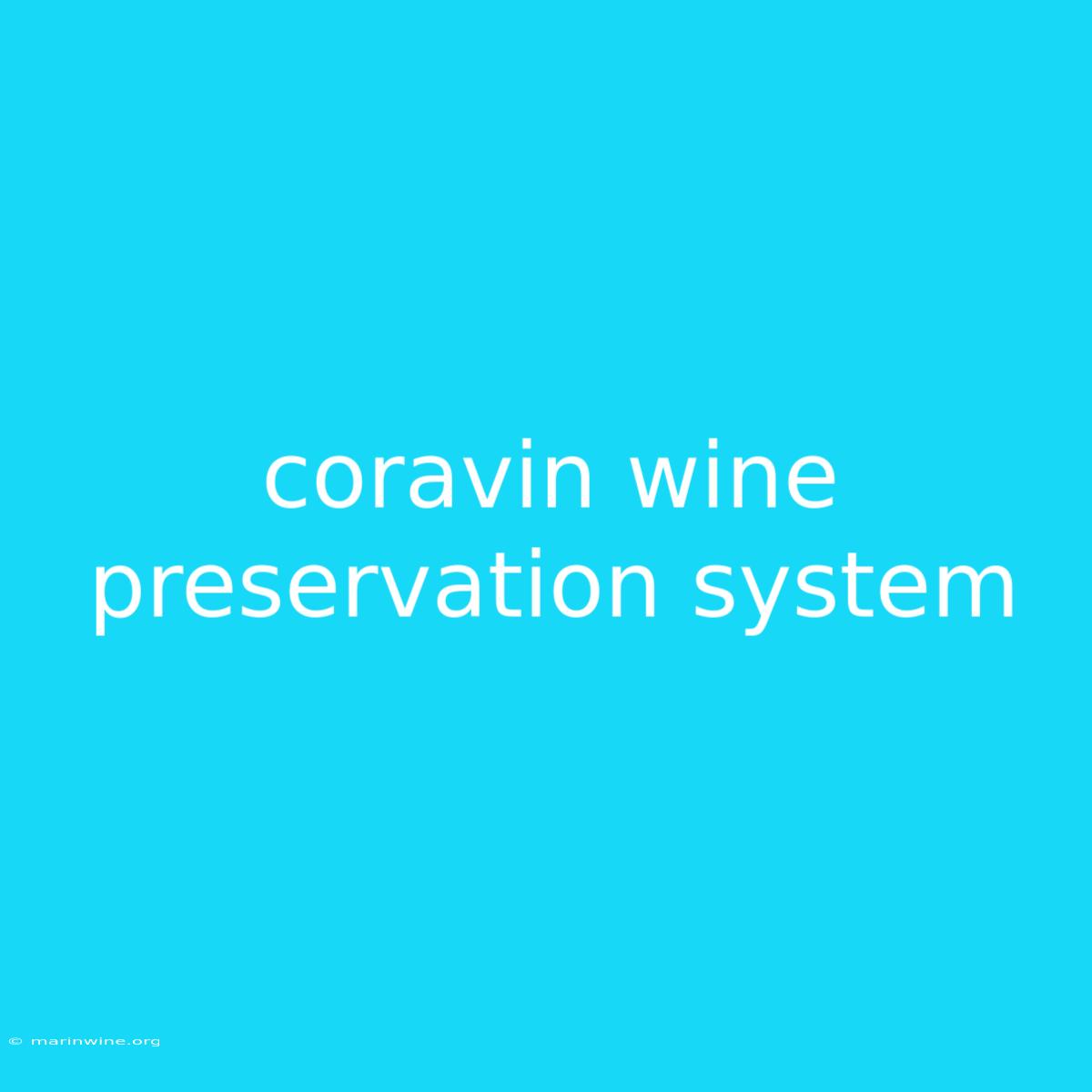 Coravin Wine Preservation System