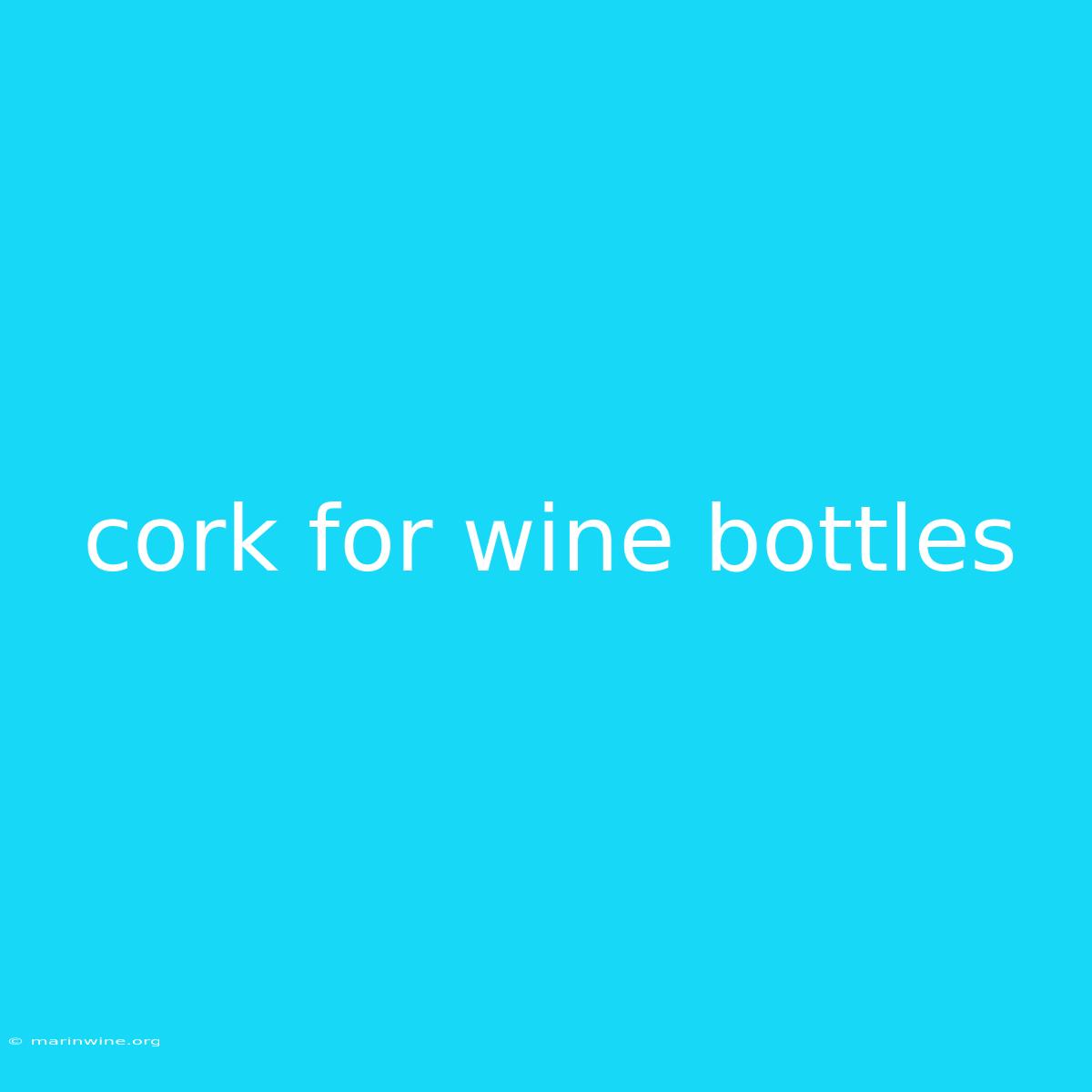 Cork For Wine Bottles