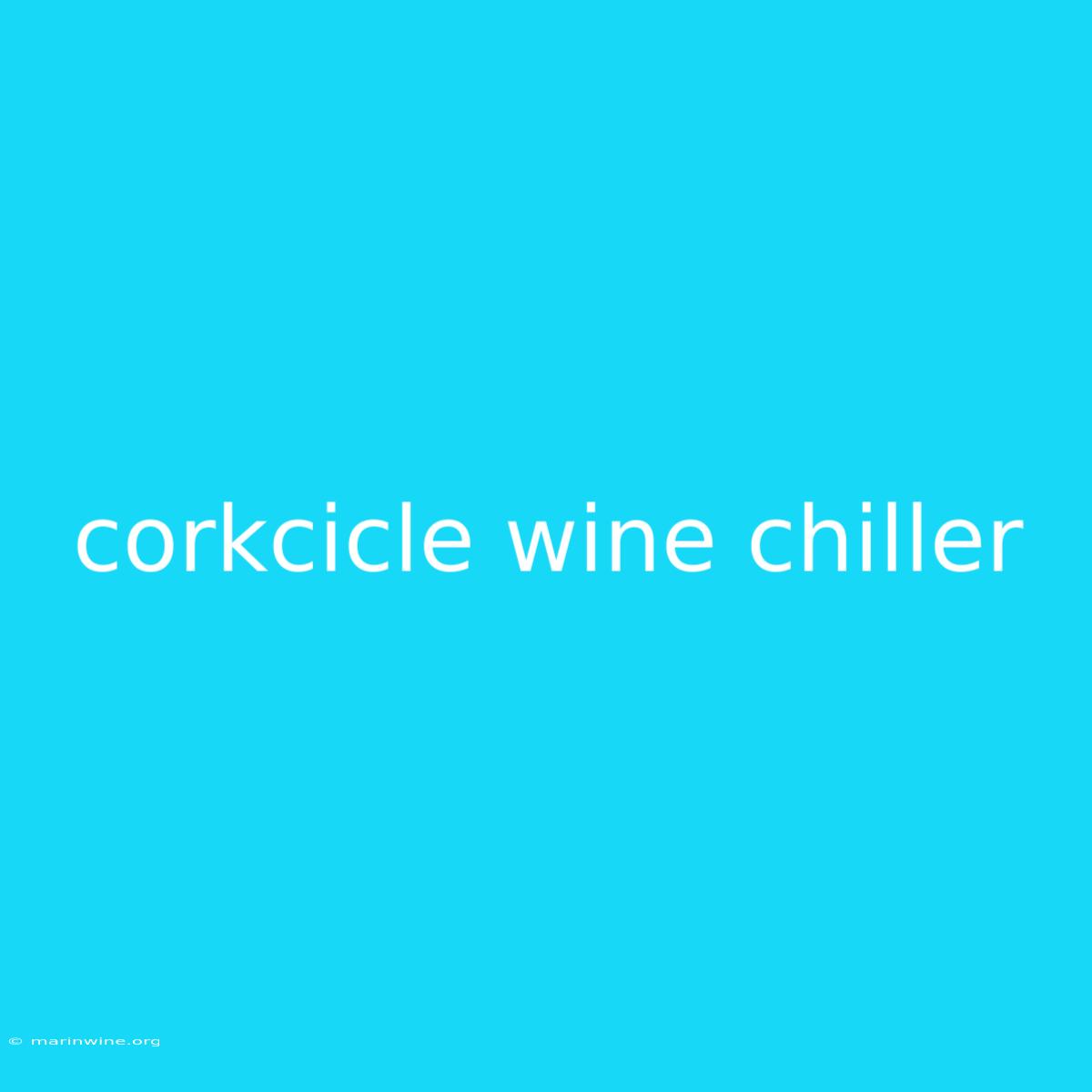 Corkcicle Wine Chiller