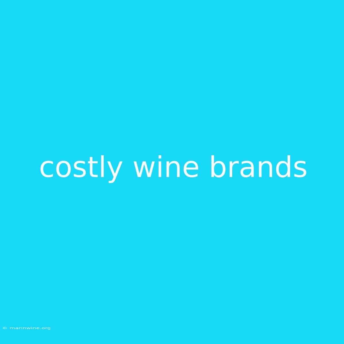 Costly Wine Brands