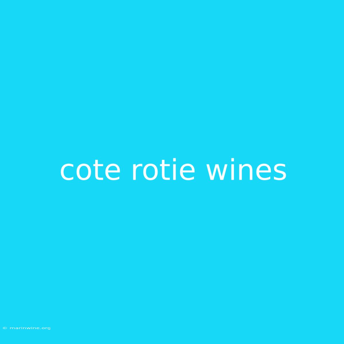 Cote Rotie Wines