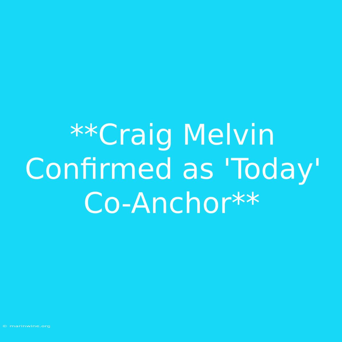 **Craig Melvin Confirmed As 'Today' Co-Anchor** 