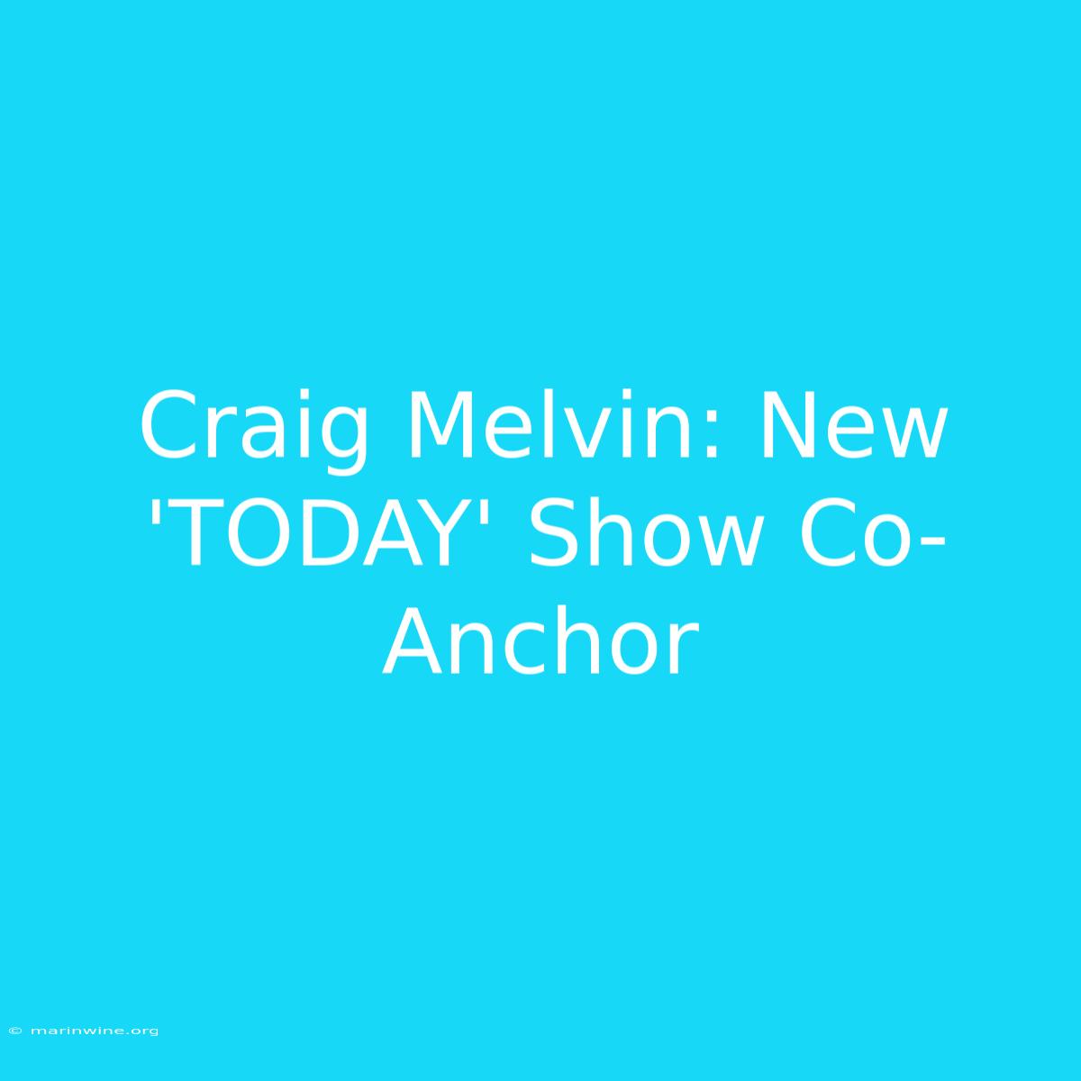 Craig Melvin: New 'TODAY' Show Co-Anchor