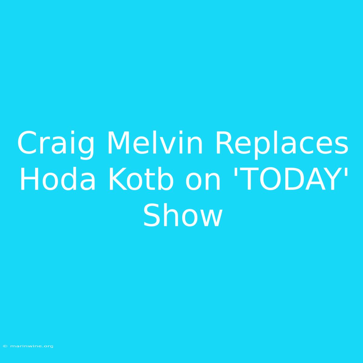 Craig Melvin Replaces Hoda Kotb On 'TODAY' Show 