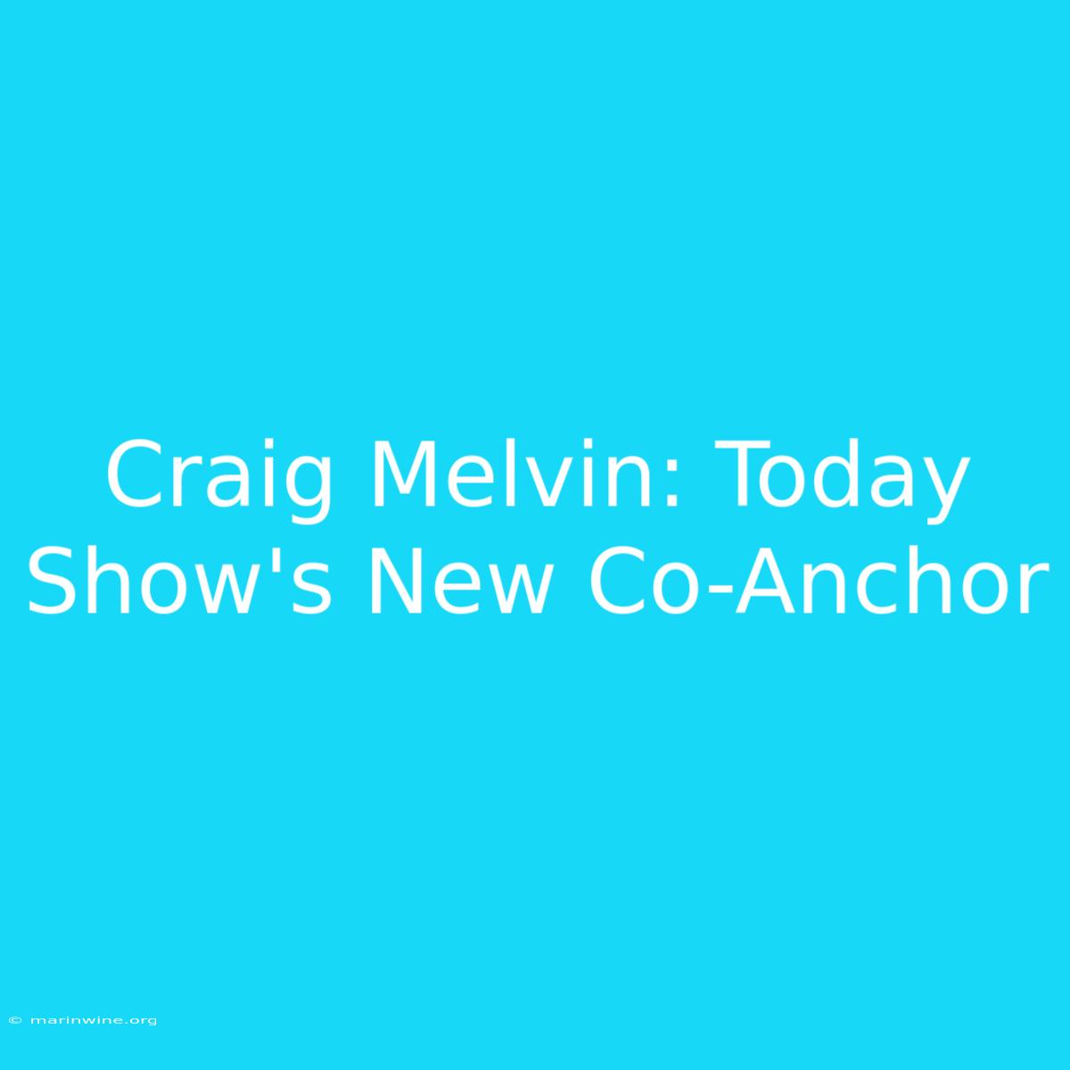 Craig Melvin: Today Show's New Co-Anchor