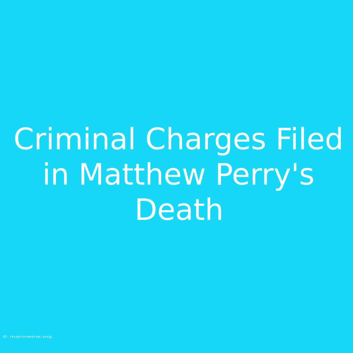 Criminal Charges Filed In Matthew Perry's Death 