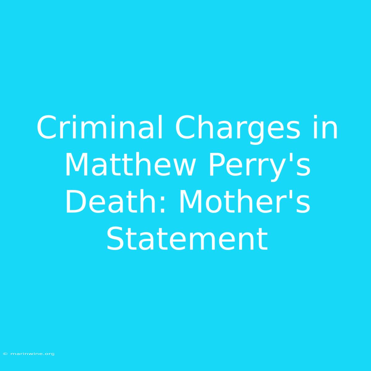 Criminal Charges In Matthew Perry's Death: Mother's Statement 