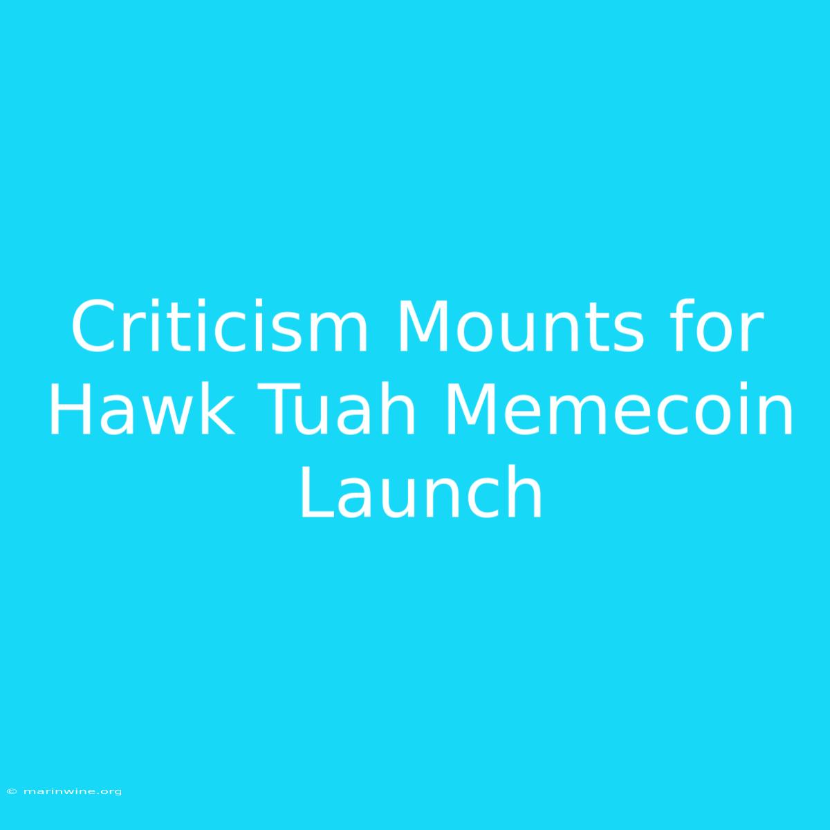 Criticism Mounts For Hawk Tuah Memecoin Launch