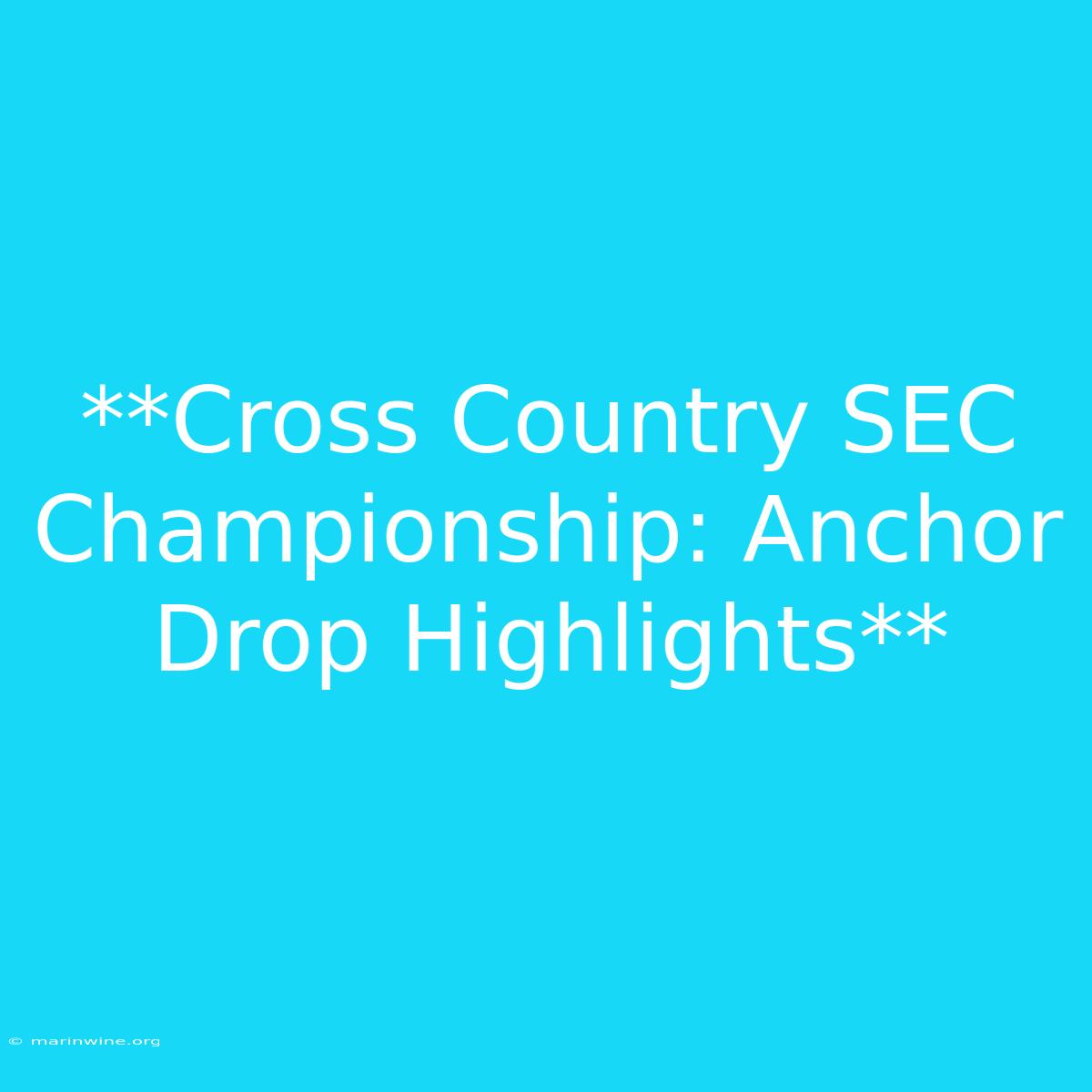 **Cross Country SEC Championship: Anchor Drop Highlights** 