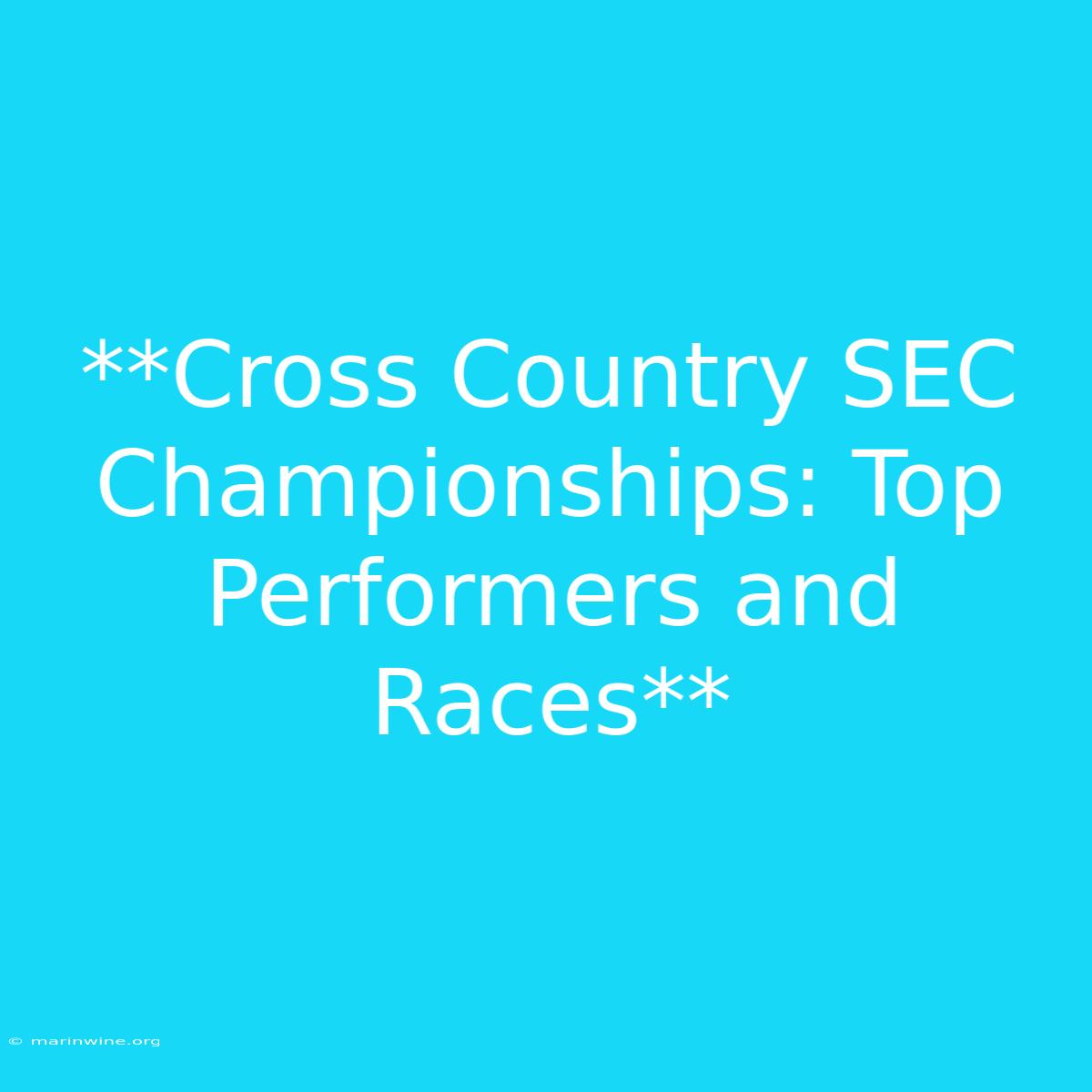 **Cross Country SEC Championships: Top Performers And Races**