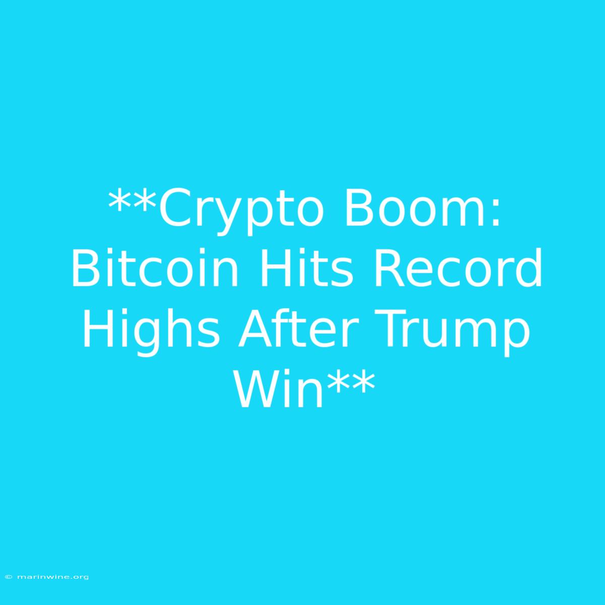 **Crypto Boom: Bitcoin Hits Record Highs After Trump Win**