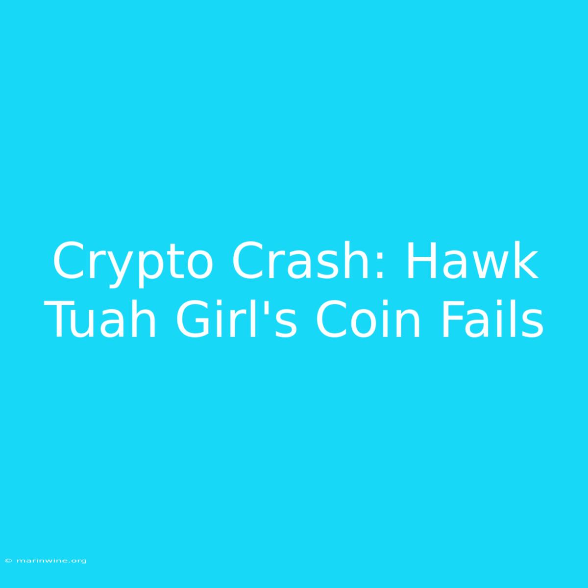 Crypto Crash: Hawk Tuah Girl's Coin Fails