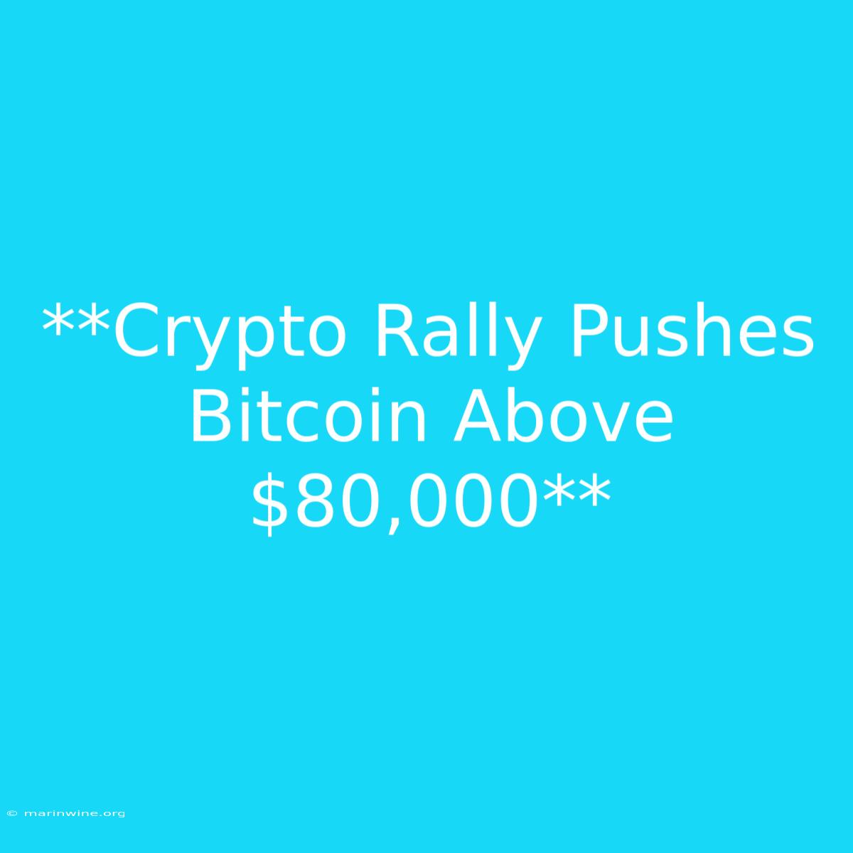 **Crypto Rally Pushes Bitcoin Above $80,000** 