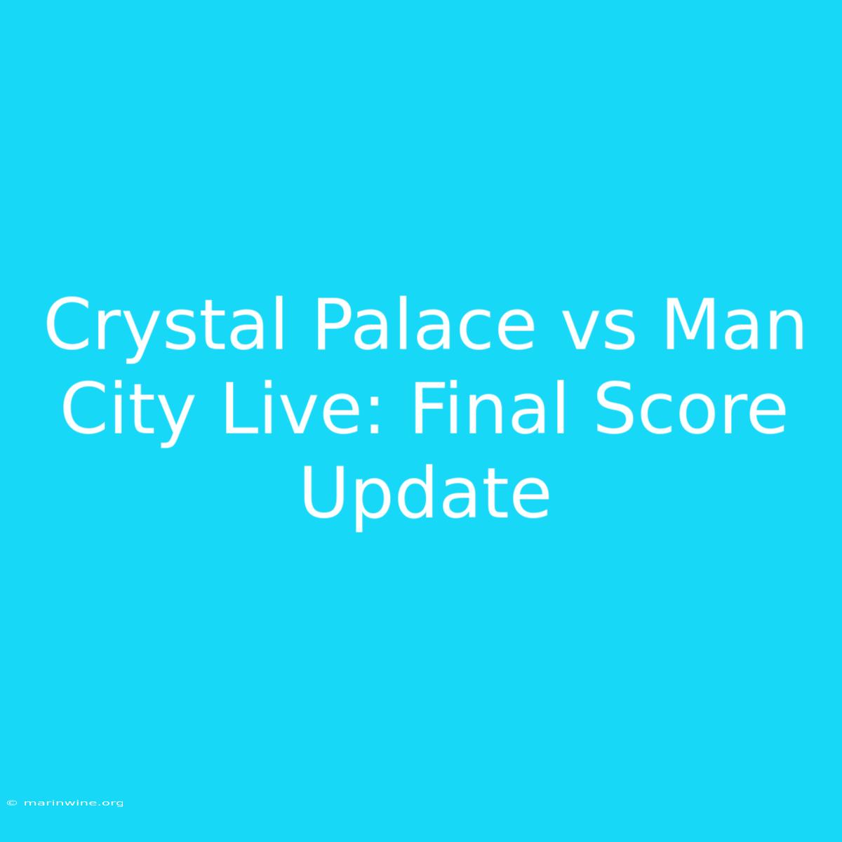 Crystal Palace Vs Man City Live: Final Score Update