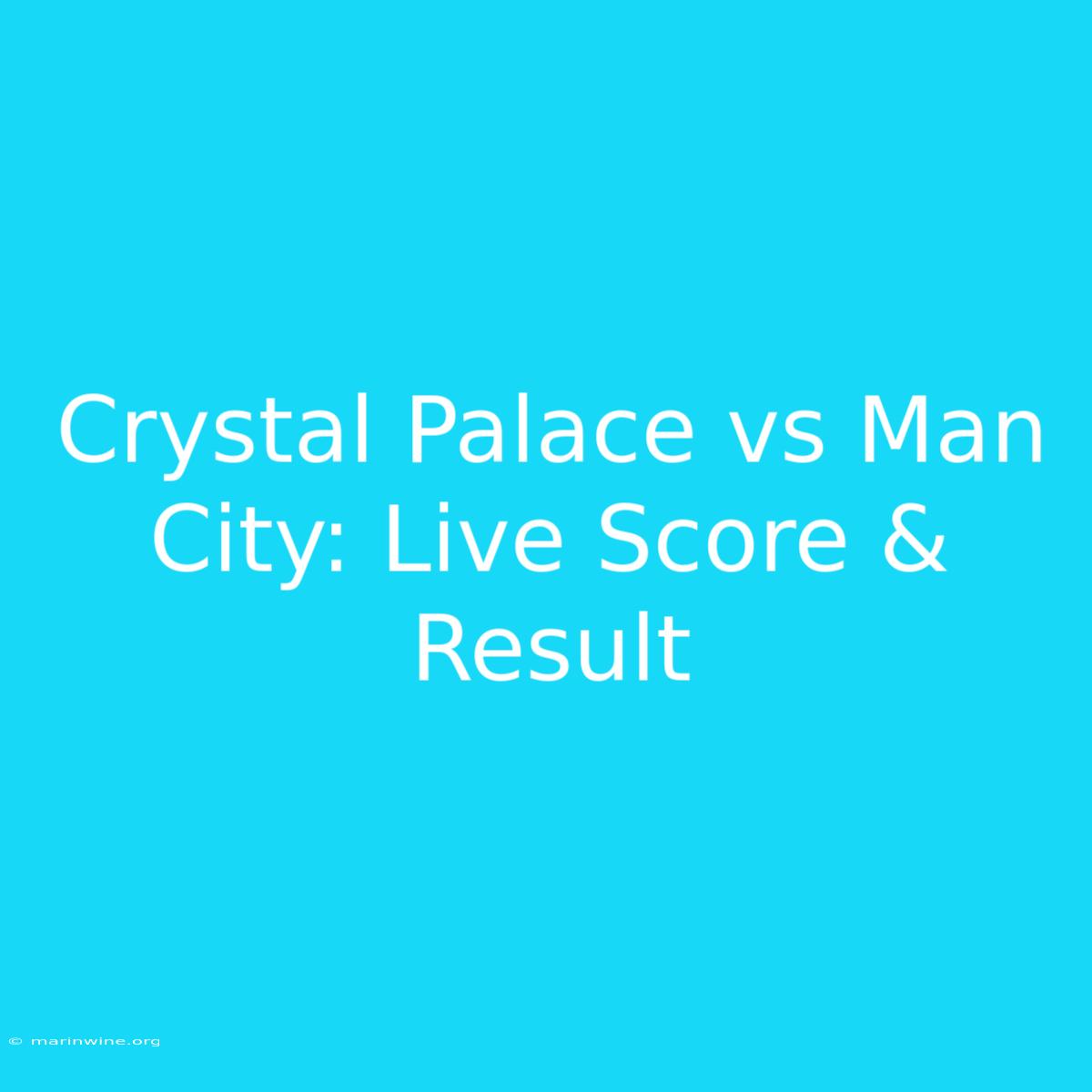 Crystal Palace Vs Man City: Live Score & Result